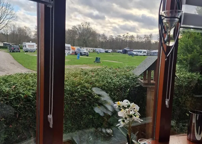 Klein Vink - E11 * Arcen